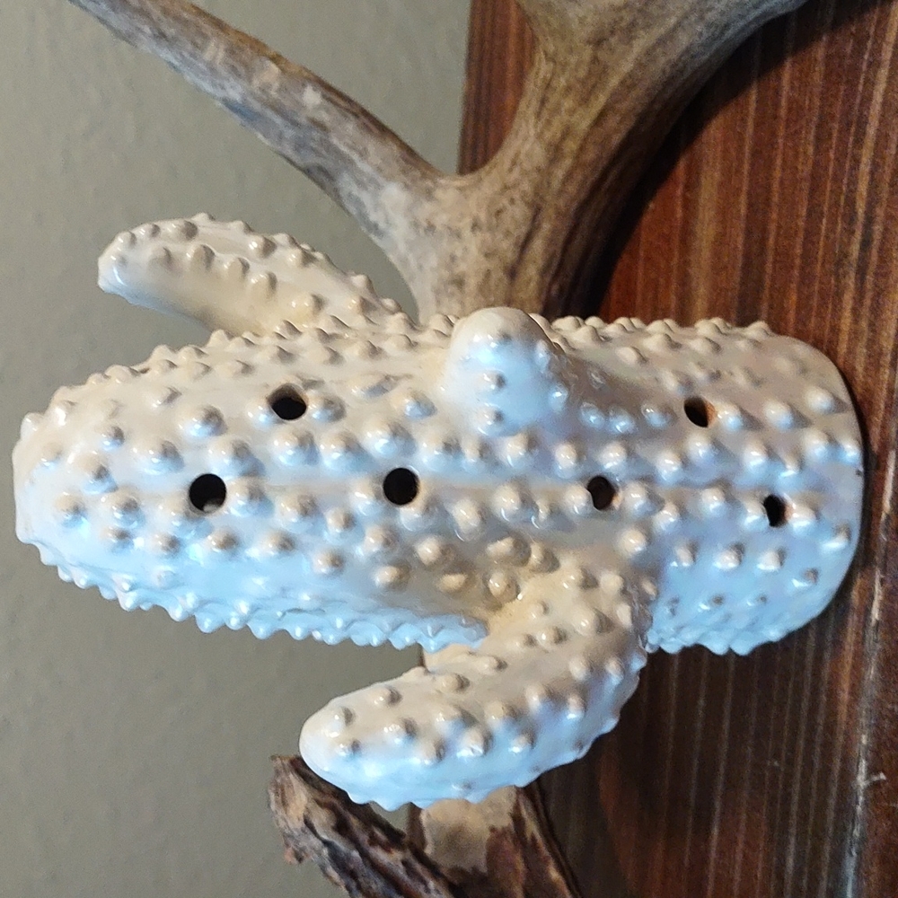Cactus - Picture 2 of 3